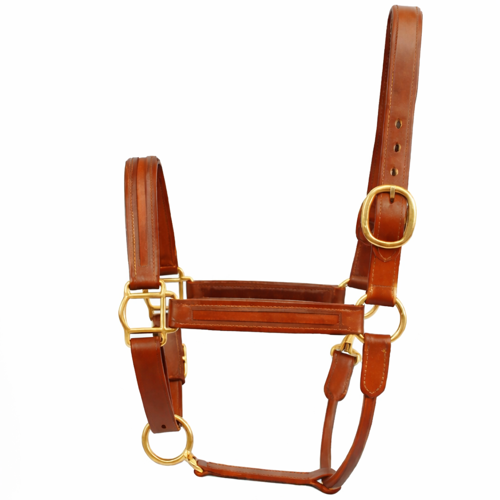 Premium Genuine Leather Empty Channel Horse Halter – Padded Adjustable Headcollar with Solid Brass Hardware