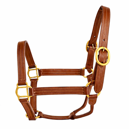 Premium Triple-Stitched Genuine Leather Horse Halter with Solid Brass Hardware – Adjustable English Stable Halter