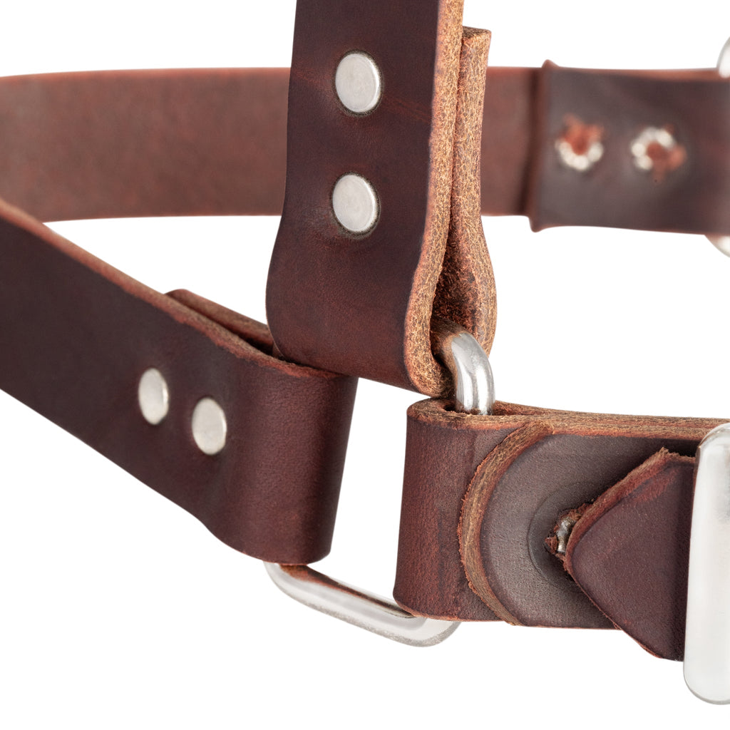 Premium Riveted Leather Horse Halter – Adjustable Padded Headcollar with Solid Brass Hardware