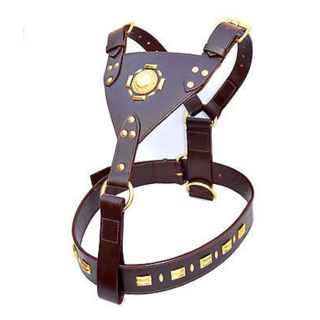 Premium Genuine Leather Dog Harness – Adjustable Padded Harness with Solid Brass Hardware