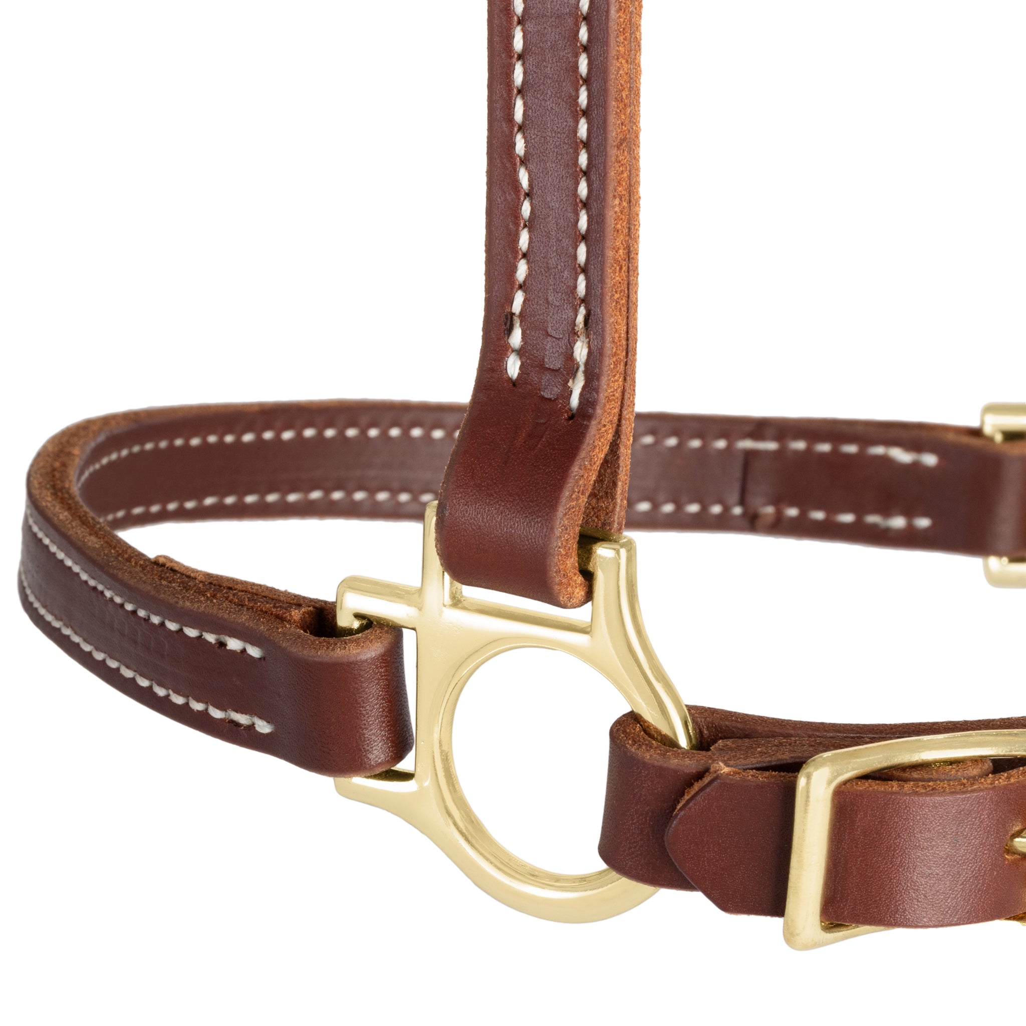 Premium Double-Stitched Leather Horse Halter – 3/4" Adjustable Padded Headcollar with Solid Brass Hardware
