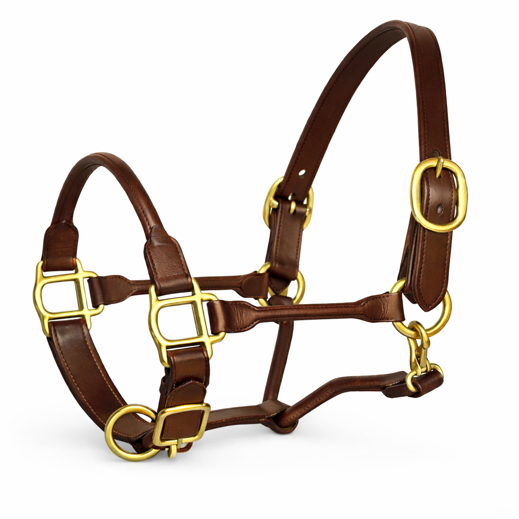 Premium Rolled Leather Horse Halter with Solid Brass Hardware – Adjustable English Leather Headcollar