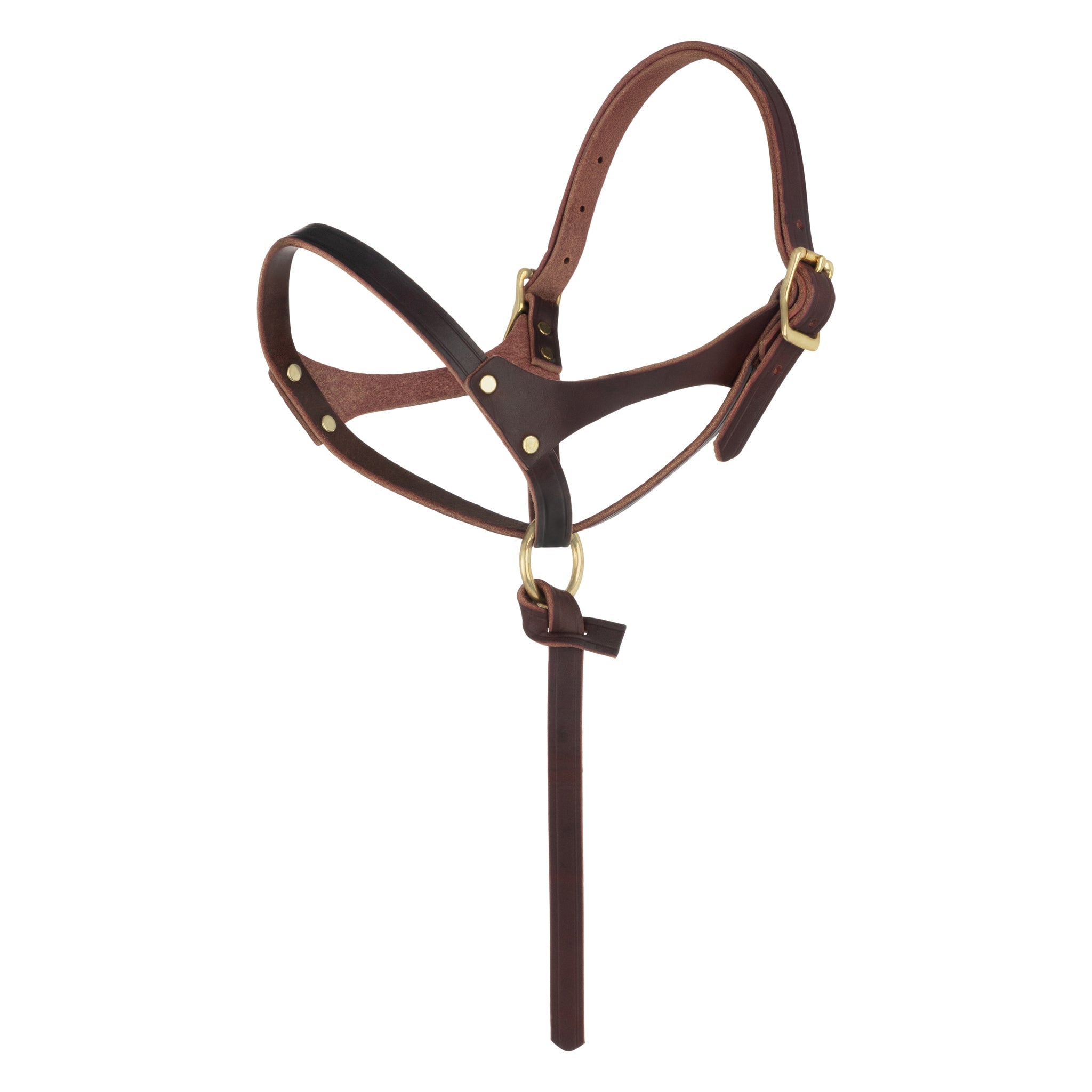 Premium Figure-8 Leather Foal Halter – Adjustable Genuine Leather Headcollar with Solid Brass Hardware