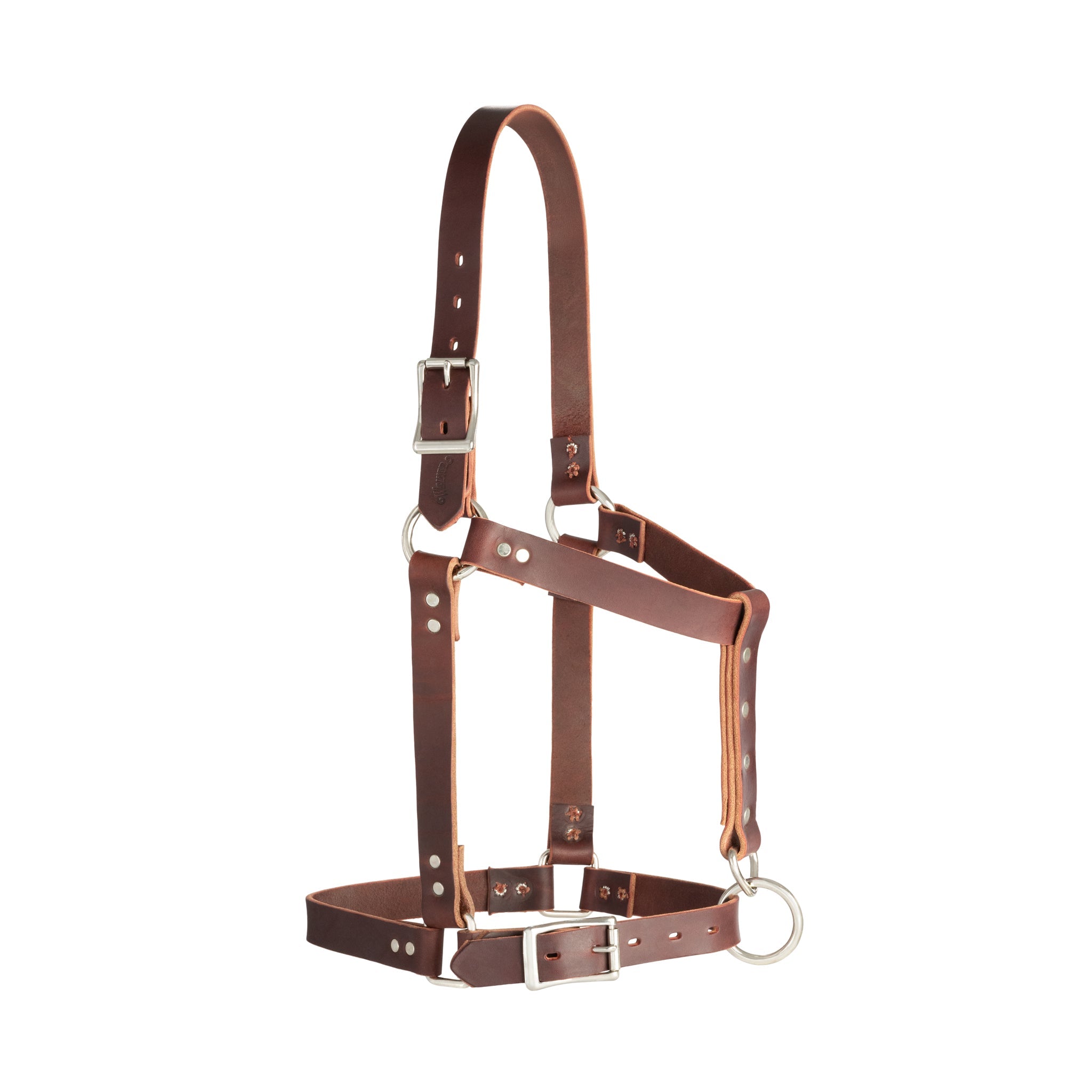 Premium Riveted Leather Horse Halter – Adjustable Padded Headcollar with Solid Brass Hardware