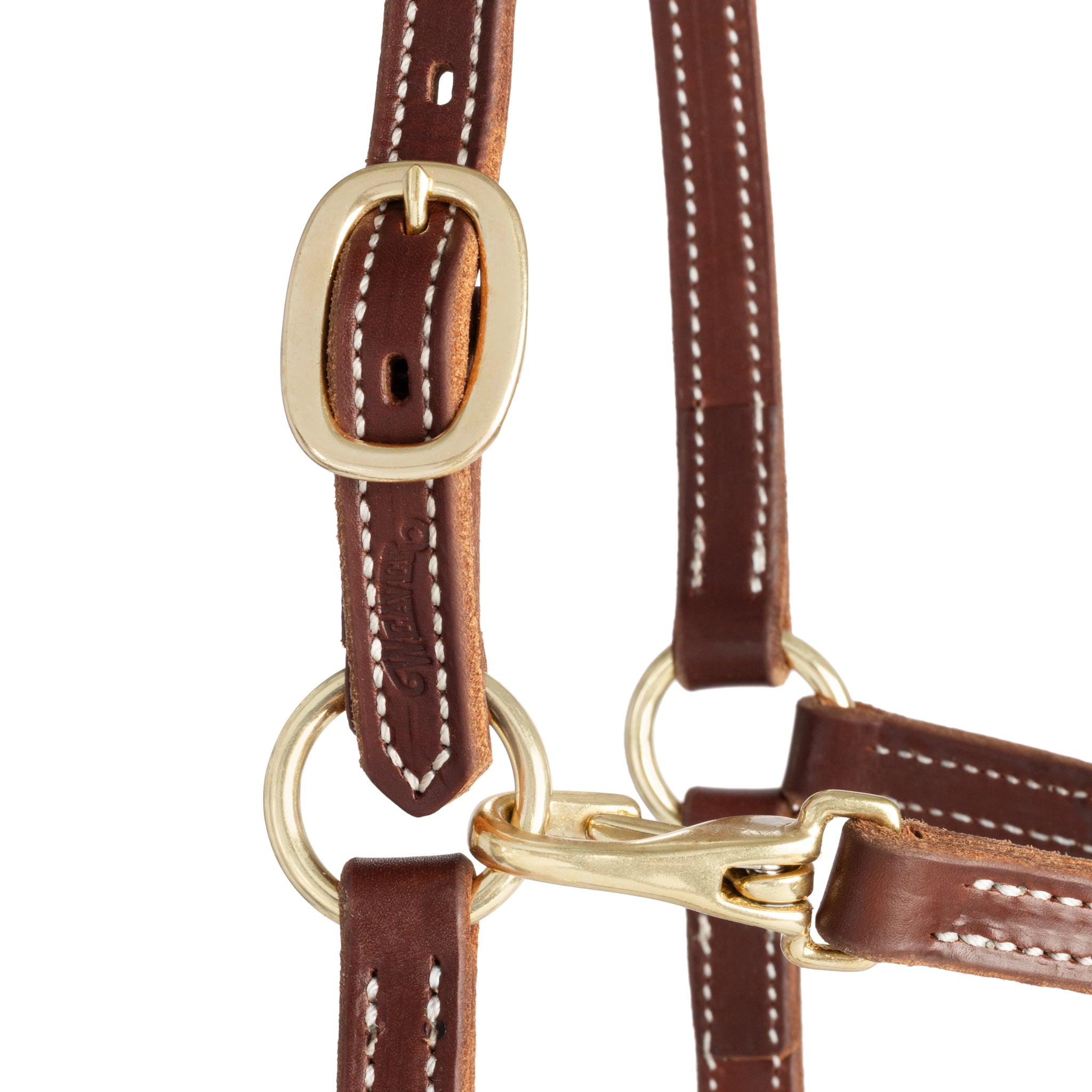 Premium Double-Stitched Leather Horse Halter – 3/4" Adjustable Padded Headcollar with Solid Brass Hardware