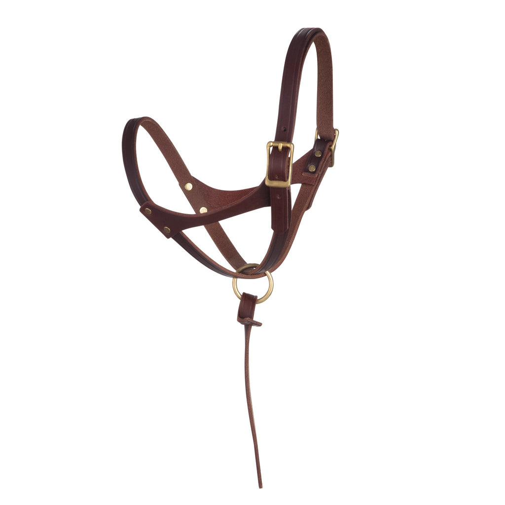Premium Figure-8 Leather Foal Halter – Adjustable Genuine Leather Headcollar with Solid Brass Hardware