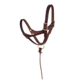 Premium Figure-8 Leather Foal Halter – Adjustable Genuine Leather Headcollar with Solid Brass Hardware