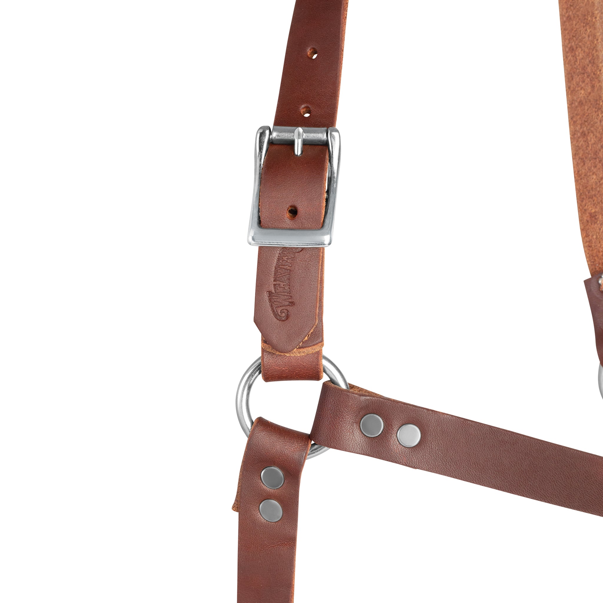 Premium Riveted Leather Horse Halter – Adjustable Padded Headcollar with Solid Brass Hardware