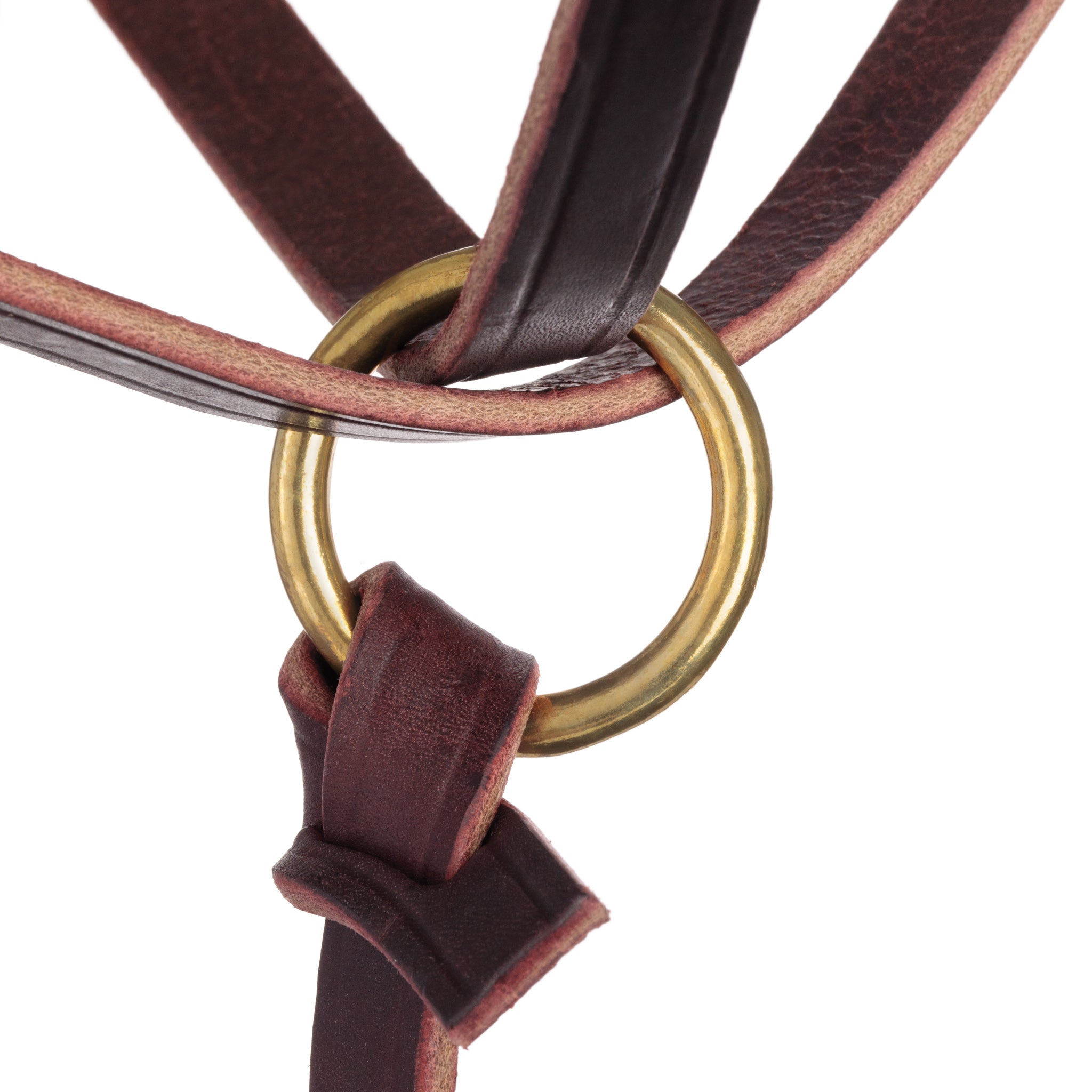 Premium Figure-8 Leather Foal Halter – Adjustable Genuine Leather Headcollar with Solid Brass Hardware
