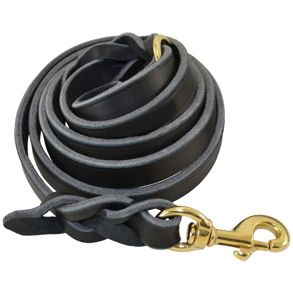 Premium Braided Genuine Leather Dog Leash – Handcrafted Heavy-Duty Walking Lead with Solid Brass Snap