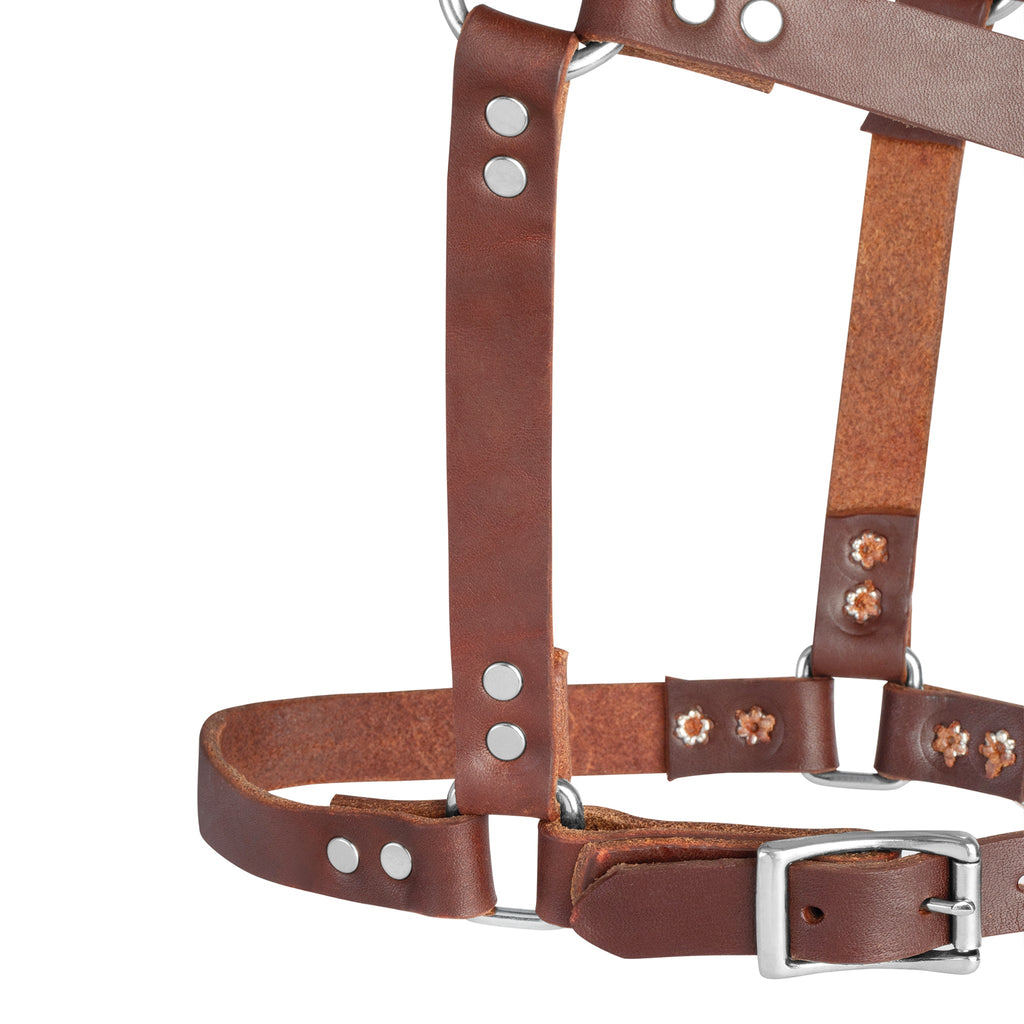 Premium Riveted Leather Horse Halter – Adjustable Padded Headcollar with Solid Brass Hardware