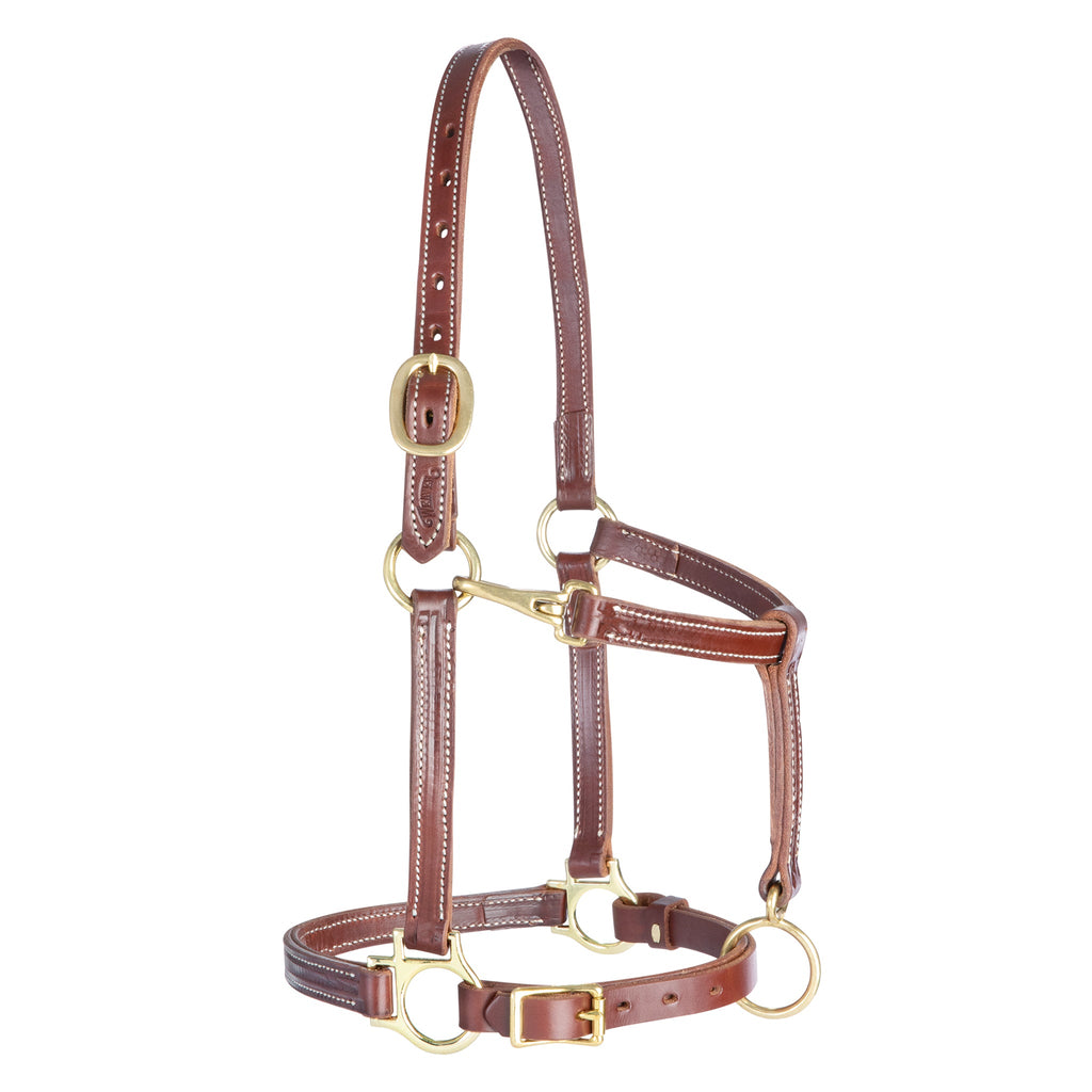 Premium Double-Stitched Leather Horse Halter – 3/4" Adjustable Padded Headcollar with Solid Brass Hardware