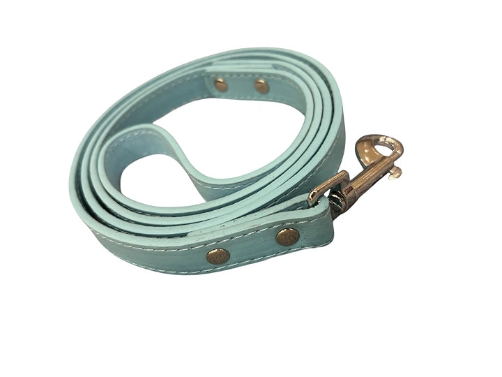 Turquoise Genuine Leather Dog Leash – Handcrafted Premium Walking Lead with Brass Snap Hook